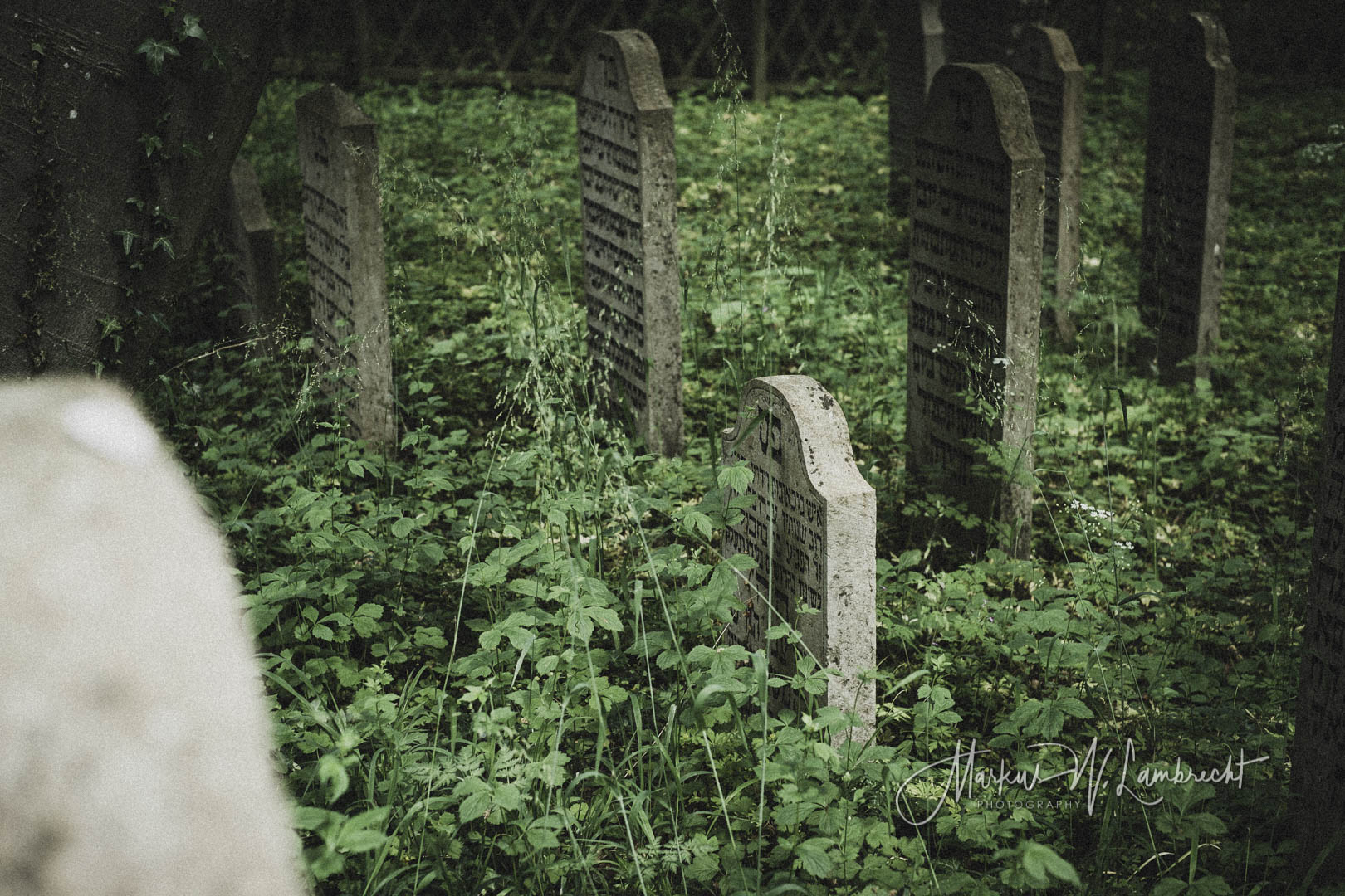 Niederhof (Sundhagen), Jüdischer Friedhof